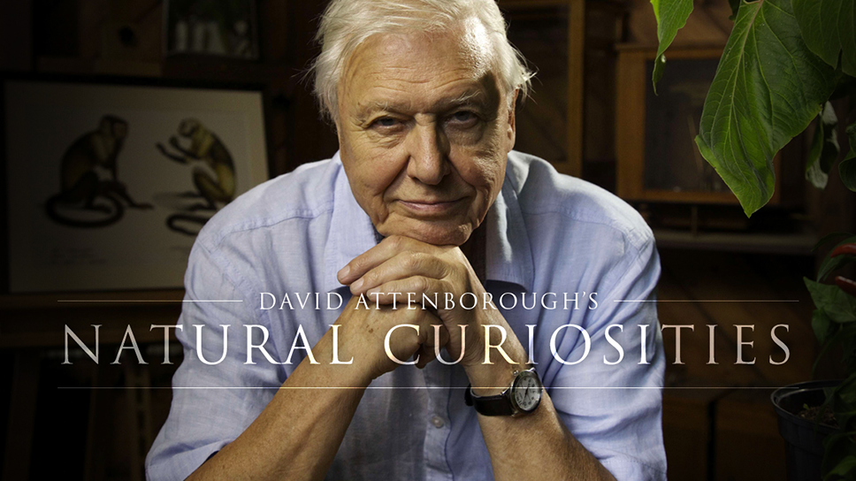 Eden David Attenboroughs Natural Curiosities